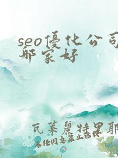 seo优化公司哪家好