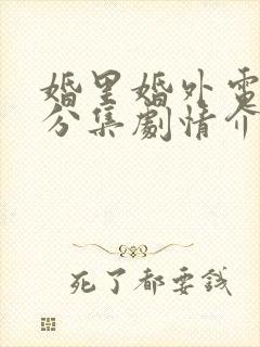 婚里婚外电视剧分集剧情介绍