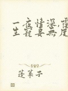 一夜情深,霍先生宠妻无度小说最新