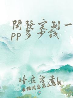 开发定制一个app多少钱