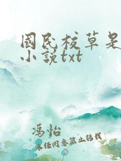 国民校草是女生小说txt