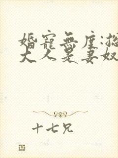 婚宠无度:总裁大人是妻奴 小说