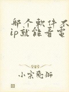 哪个软件不要vip就能看电视剧