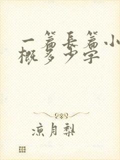 一篇长篇小说大概多少字