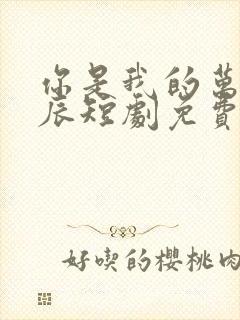 你是我的万千星辰短剧免费观看全集