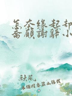 怎奈缘起却浅薄乔愿谢辞小说