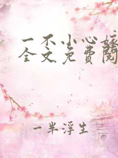 一不小心嫁总裁全文免费阅读