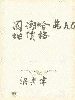 国潮哈弗h6落地价格