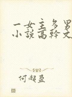 一女主多男主的小说高干文