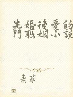 先婚后爱的双豪门联姻小说甜宠文