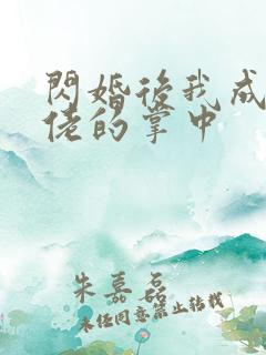 闪婚后我成了大佬的掌中