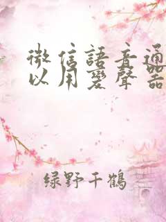 微信语音通话可以用变声器吗