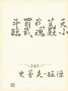 斗罗我荒天帝降临武魂殿小说