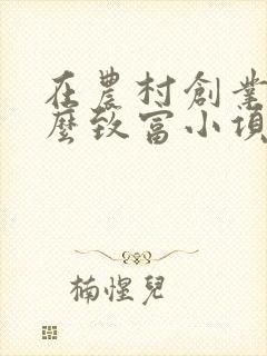 在农村创业有什么致富小项目