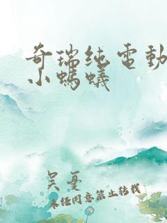 奇瑞纯电动汽车小蚂蚁