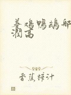 养鸡鸭鹅哪个利润高