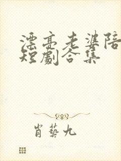 漂亮老婆陪过年短剧合集