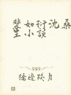 裴如衍沈桑宁重生小说