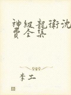 神级龙卫沈浪免费全集