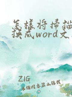 怎样将扫描件转换成word文档