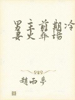 男主前期冷淡追妻火葬场