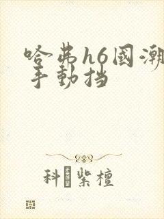 哈弗h6国潮版手动挡