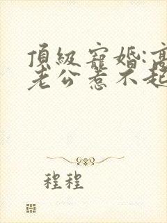 顶级宠婚:高冷老公惹不起