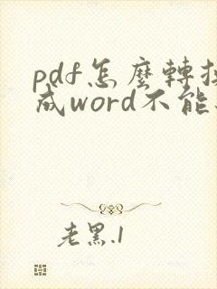 pdf怎么转换成word不能编辑是什么原因