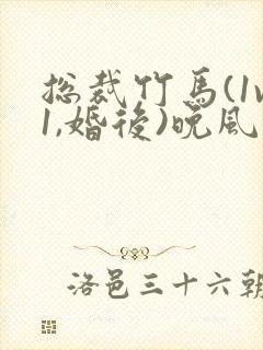 总裁竹马(1v1,婚后)晚风入怀总裁