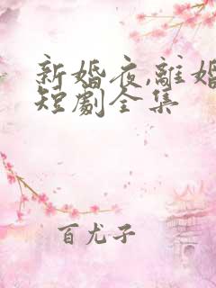 新婚夜,离婚时短剧全集