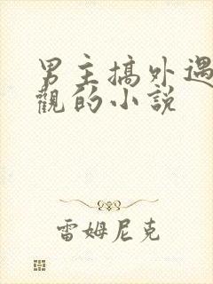 男主搞外遇毁三观的小说