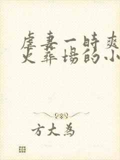 虐妻一时爽追妻火葬场的小说