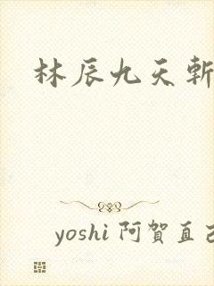 林辰九天斩神诀