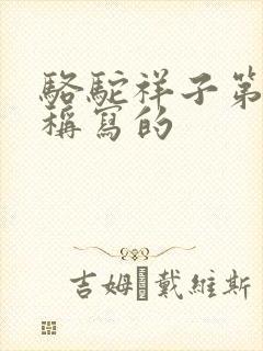 骆驼祥子第几人称写的