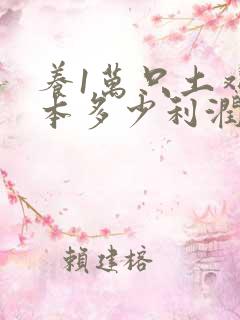 养1万只土鸡成本多少利润多少