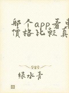 哪个app看车价格比较真实