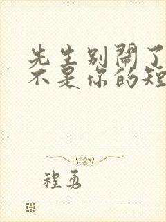 先生别闹了新娘不是你的短剧免费观看大结局