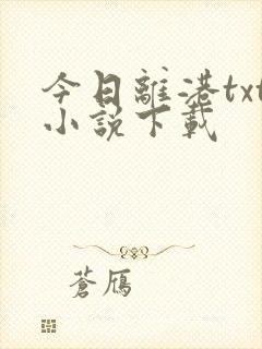 今日离港txt小说下载