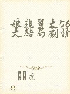 娘亲舅大56集大结局剧情介绍