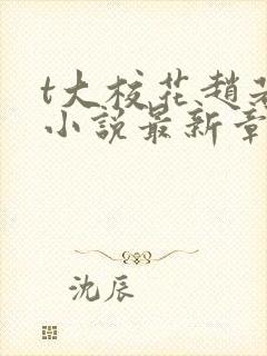 t大校花赵若芸小说最新章节更新内容