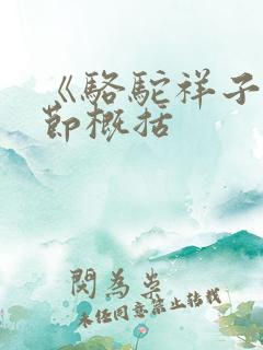 《骆驼祥子》章节概括