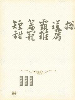 短篇霸道总裁文甜宠推荐