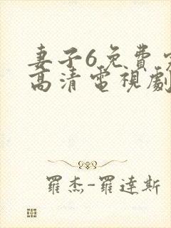 妻子6免费完整高清电视剧在线观看