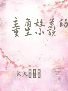 主角姓叶的末世重生小说