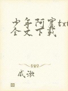 少年阿宾txt全文下载