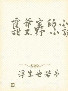 霍爷家的小祖宗甜又野 小说