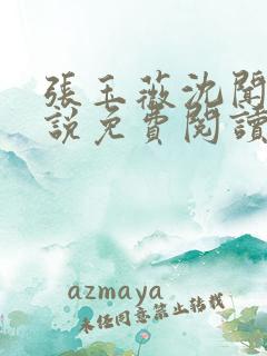 张玉薇沈闻天小说免费阅读最新章节