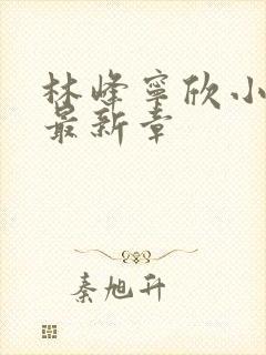 林峰宁欣小说文最新章