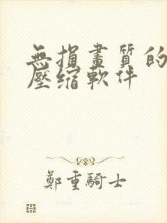 无损画质的视频压缩软件