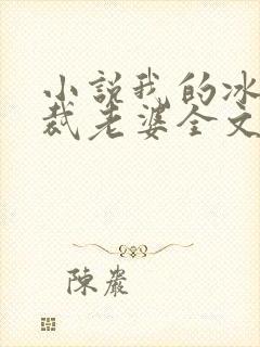 小说我的冰山总裁老婆全文阅读